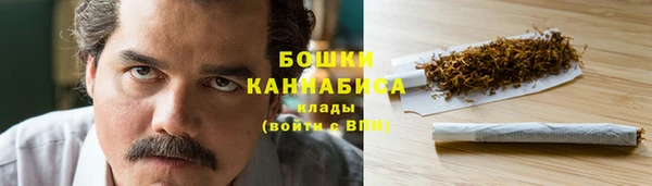 дурь Осинники