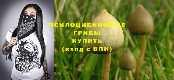 дурь Осинники