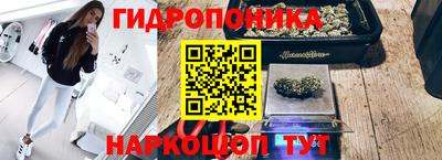 ешки Будённовск