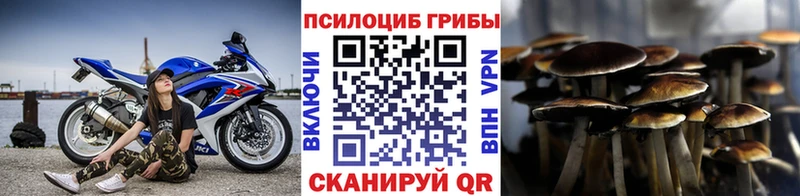 даркнет сайт  Долгопрудный  Галлюциногенные грибы MAGIC MUSHROOMS 