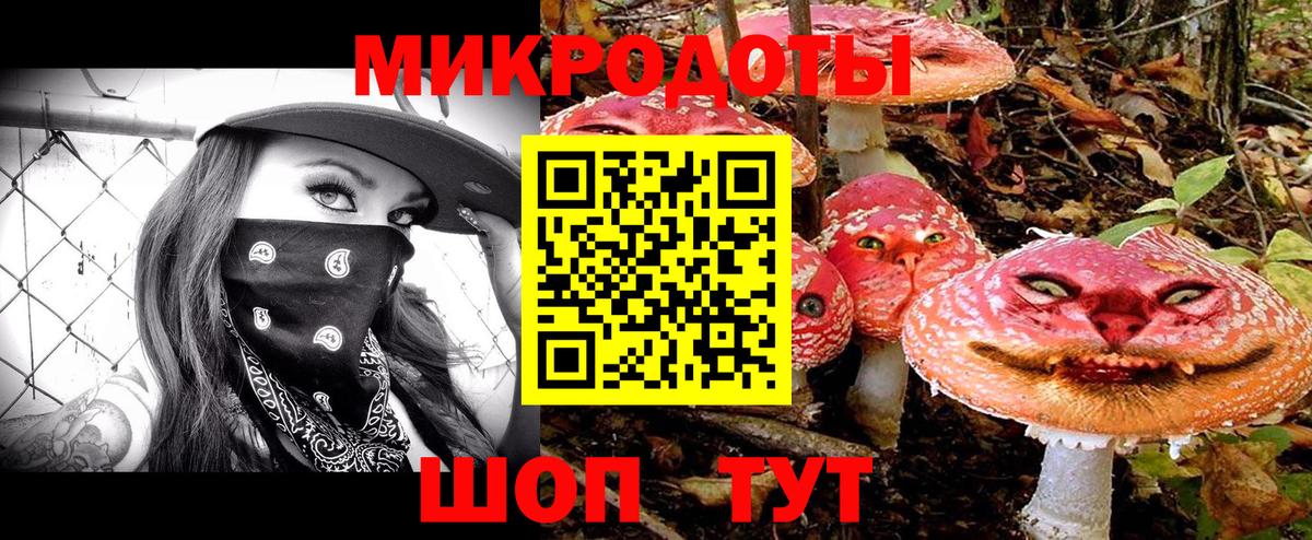 продажа наркотиков  Вход с VPN  Долгопрудный  Псилоцибиновые грибы прущие грибы 