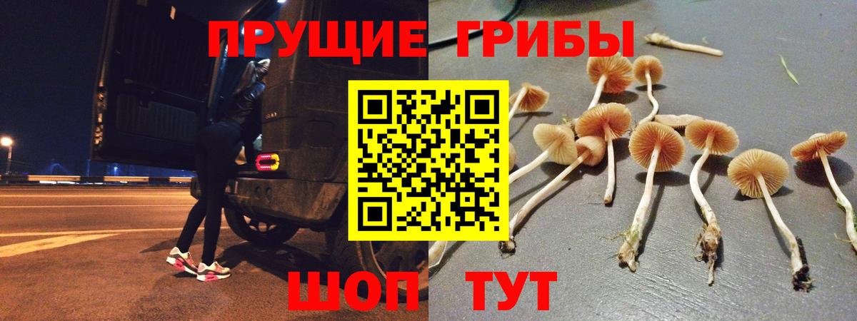 Псилоцибиновые грибы Cubensis Долгопрудный