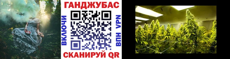 Шишки марихуана конопля  Долгопрудный 